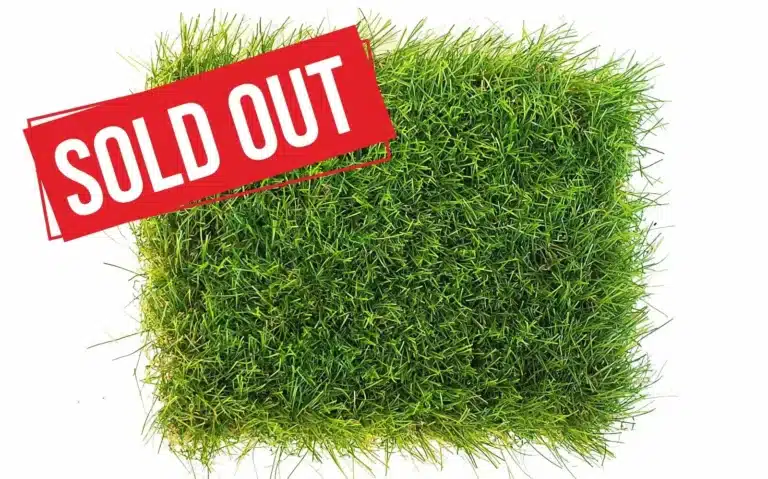 Deluxe 60mm - sold out 1