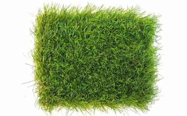 fine soft touch 60mm erba sintetica prato finto