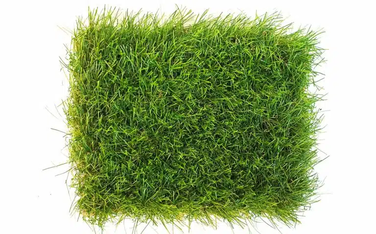 fine soft touch 60mm erba sintetica prato finto