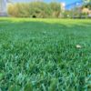 Erba sintetica Mondial Green Licodia Dopo6
