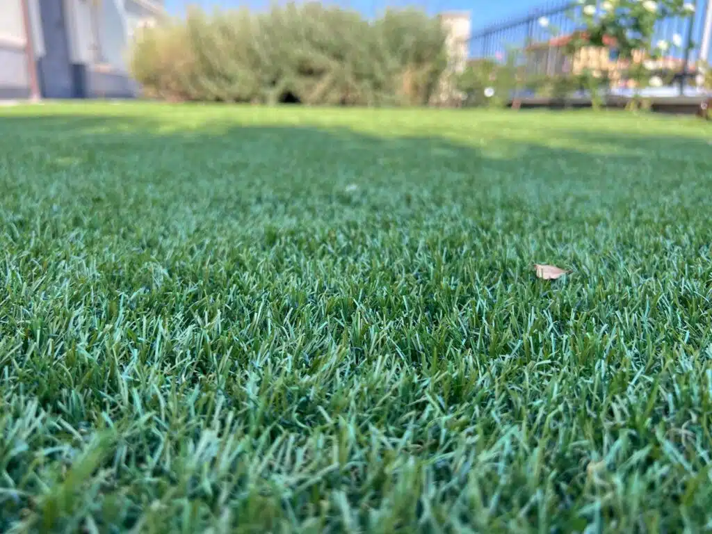 Erba sintetica Mondial Green Licodia Dopo6