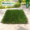 Garden Soft Touch 35mm 2 erba sintetica garden soft touch mondialgreen
