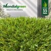 erba sintetica mod. roma 55mm mondialgreen3